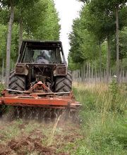 ALLIANCE Forêts Bois image 3