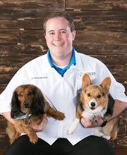 Petersen Pet Hospital image 10
