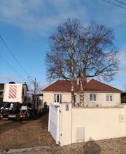 Artisan Elagueur David image 1