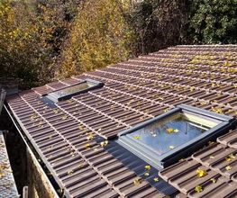 Bruchon Romain image 16