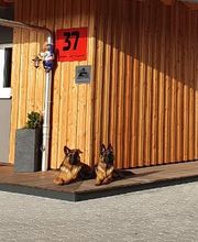 Martin + Bach GmbH & Co.KG Bild 6