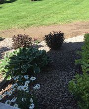 A Cut Above Landscape image 3