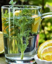 Cécile Castagnet image 7