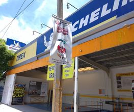 Michelin -Tirex China Poblana imagen 5