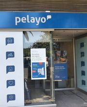 Oficina Seguros Pelayo imagen 1