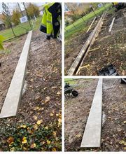 Thomas Damien image 9