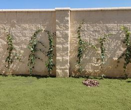 jardineria_segovia-6.jpg
