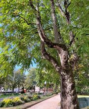 Cabinet De Shiatsu image 7