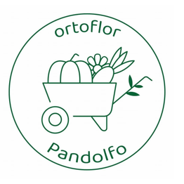 Azienda Agricola Ortoflor Pandolfo logo