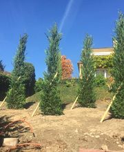 Chervet Jardinier-Paysagiste Sàrl Bild 1