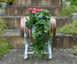 600-20240614-01 Zierfass als Blumenkübel (7).JPG