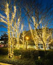 Westerland im Lichterglanz - Stadtpark