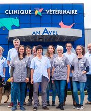 Clinique vétérinaire An Avel image 3