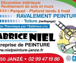 Fabrice Niel image 1