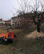 Nesurini Daniele - Lavori Forestali e Segheria Bild 3