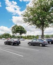 Rack Room Shoes image 10