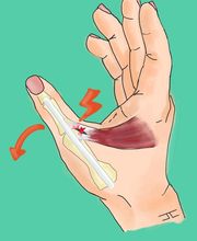 Dr. Jessie Lamouille Bild 6