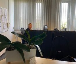 Eine Mitarbeiterin sitzt am Empfang. Fensterfront und großes Whiteboard. Kleine, grüne Topfpflanze im Vordergrund des Fotos.