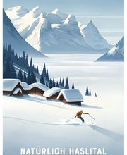 Schweizer Skischule Meiringen - Hasliberg Bild 8