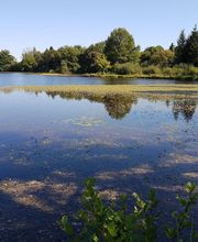 Pateloux Christophe image 1