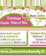 Aux Amis D Andy image 3