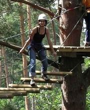 Atout Branches image 2