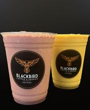 Blackbird Coffee & Energy image 8