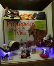Zintzo imagen 3