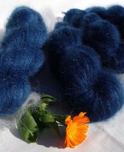 Un mouton dans l'Herbe image 12