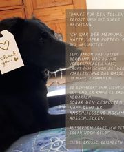HUNDherum glücklich mit Antje Schnitzler Hundefutter-Vergleich24 | ANIfit Bild 17