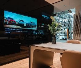 STERNAUTO Bild 4