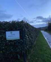 Pierre Elagage et Paysage image 14