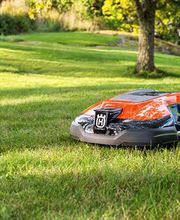 Bösch-Gärten AG Bild 4