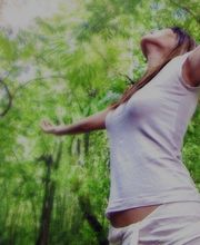 Vancaeyzeele Vincent Sophro Partage image 2