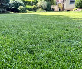 Gartenservice Mark Miess Bild 14