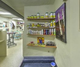 Hundesalon Pfiffikus Bild 5