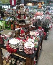 Jardinerie HORNBACH Villeneuve Bild 2