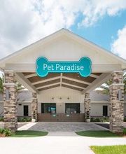 Pet Paradise Kyle image 11