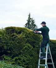 WhatsApp Image 2026-01-31 at 19.27.39 (4).jpeg