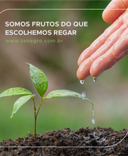 Zanagro Agrocomercial imagen 18