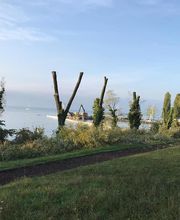 Entreprise forestière Daniel Ruch SA Bild 10