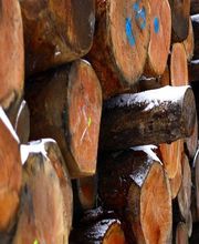 Scierie Gonnachon image 1