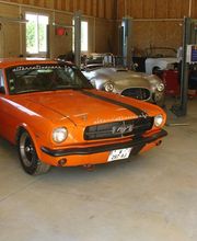 Alternativescars & Bikes image 4