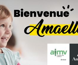 AIMV Amaelles image 1