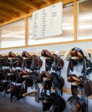 Manège et Poney Club de Presinge Bild 10