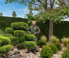 ABC Jardin image 10