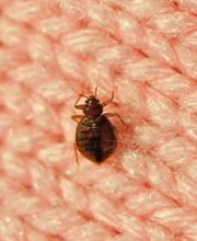 CIADIT SUISSE SA Bild 6