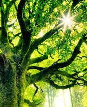 Baudin Jérome image 15