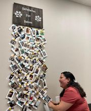 SafeHaven Pest Control image 9