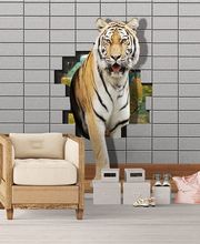 KN-COLLECTION Bild 1